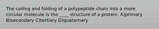 The coiling and folding of a polypeptide chain into a more circular molecule is the ____ structure of a protein. A)primary B)secondary C)tertiary D)quaternary