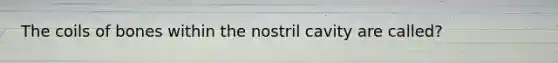 The coils of bones within the nostril cavity are called?