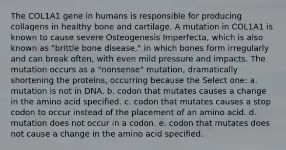 The COL1A1 gene in humans is responsible for producing collagens in healthy bone and cartilage. A mutation in COL1A1 is known to cause severe Osteogenesis Imperfecta, which is also known as "brittle bone disease," in which bones form irregularly and can break often, with even mild pressure and impacts. The mutation occurs as a "nonsense" mutation, dramatically shortening the proteins, occurring because the Select one: a. mutation is not in DNA. b. codon that mutates causes a change in the amino acid specified. c. codon that mutates causes a stop codon to occur instead of the placement of an amino acid. d. mutation does not occur in a codon. e. codon that mutates does not cause a change in the amino acid specified.