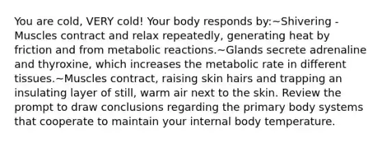 You are cold, VERY cold! Your body responds by:~Shivering - Muscles contract and relax repeatedly, generating heat by friction and from metabolic reactions.~Glands secrete adrenaline and thyroxine, which increases the metabolic rate in different tissues.~Muscles contract, raising skin hairs and trapping an insulating layer of still, warm air next to the skin. Review the prompt to draw conclusions regarding the primary body systems that cooperate to maintain your internal body temperature.