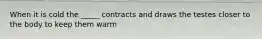 When it is cold the _____ contracts and draws the testes closer to the body to keep them warm