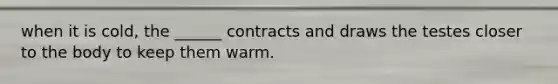 when it is cold, the ______ contracts and draws the testes closer to the body to keep them warm.