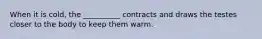 When it is cold, the __________ contracts and draws the testes closer to the body to keep them warm.