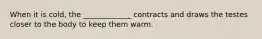 When it is cold, the _____________ contracts and draws the testes closer to the body to keep them warm.