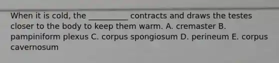 When it is cold, the __________ contracts and draws the testes closer to the body to keep them warm. A. cremaster B. pampiniform plexus C. corpus spongiosum D. perineum E. corpus cavernosum