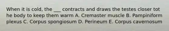 When it is cold, the ___ contracts and draws the testes closer tot he body to keep them warm A. Cremaster muscle B. Pampiniform plexus C. Corpus spongiosum D. Perineum E. Corpus cavernosum