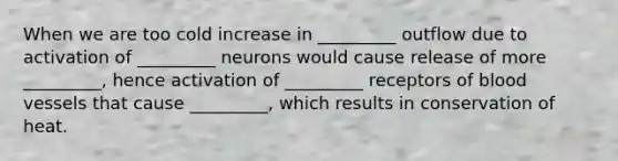 When we are too cold increase in _________ outflow due to activation of _________ neurons would cause release of more _________, hence activation of _________ receptors of blood vessels that cause _________, which results in conservation of heat.