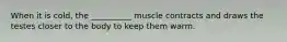 When it is cold, the __________ muscle contracts and draws the testes closer to the body to keep them warm.