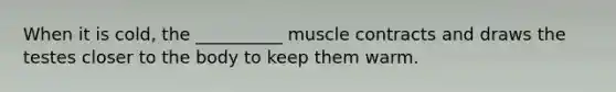 When it is cold, the __________ muscle contracts and draws the testes closer to the body to keep them warm.