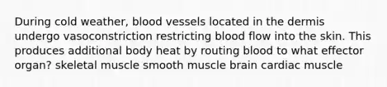 During cold weather, blood vessels located in the dermis undergo vasoconstriction restricting blood flow into the skin. This produces additional body heat by routing blood to what effector organ? skeletal muscle smooth muscle brain cardiac muscle