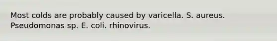 Most colds are probably caused by varicella. S. aureus. Pseudomonas sp. E. coli. rhinovirus.