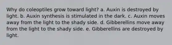 Why do coleoptiles grow toward light? a. Auxin is destroyed by light. b. Auxin synthesis is stimulated in the dark. c. Auxin moves away from the light to the shady side. d. Gibberellins move away from the light to the shady side. e. Gibberellins are destroyed by light.