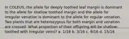 In COLEUS, the allele for deeply toothed leaf margin is dominant to the allele for shallow toothed margin and the allele for irregular venation is dominant to the allele for regular venation. Two plants that are heterozygous for both margin and venation are crossed. What proportion of their offspring will be shallow-toothed with irregular veins? a. 1/16 b. 3/16 c. 9/16 d. 15/16