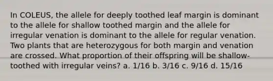 In COLEUS, the allele for deeply toothed leaf margin is dominant to the allele for shallow toothed margin and the allele for irregular venation is dominant to the allele for regular venation. Two plants that are heterozygous for both margin and venation are crossed. What proportion of their offspring will be shallow-toothed with irregular veins? a. 1/16 b. 3/16 c. 9/16 d. 15/16