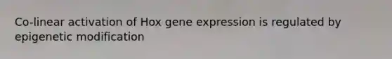 Co-linear activation of Hox <a href='https://www.questionai.com/knowledge/kFtiqWOIJT-gene-expression' class='anchor-knowledge'>gene expression</a> is regulated by epigenetic modification