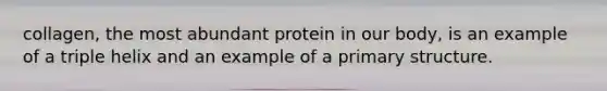 collagen, the most abundant protein in our body, is an example of a triple helix and an example of a primary structure.