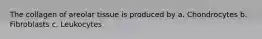 The collagen of areolar tissue is produced by a. Chondrocytes b. Fibroblasts c. Leukocytes