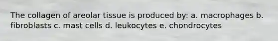 The collagen of areolar tissue is produced by: a. macrophages b. fibroblasts c. mast cells d. leukocytes e. chondrocytes