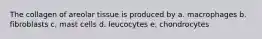 The collagen of areolar tissue is produced by a. macrophages b. fibroblasts c, mast cells d. leucocytes e. chondrocytes