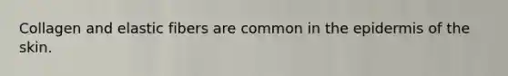 Collagen and elastic fibers are common in the epidermis of the skin.