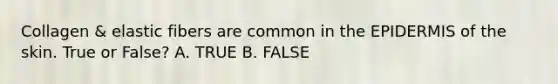 Collagen & elastic fibers are common in the EPIDERMIS of the skin. True or False? A. TRUE B. FALSE