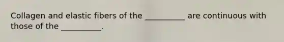 Collagen and elastic fibers of the __________ are continuous with those of the __________.