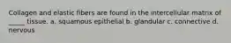 Collagen and elastic fibers are found in the intercellular matrix of _____ tissue. a. squamous epithelial b. glandular c. connective d. nervous