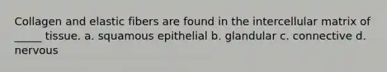 Collagen and elastic fibers are found in the intercellular matrix of _____ tissue. a. squamous epithelial b. glandular c. connective d. nervous