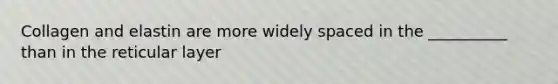 Collagen and elastin are more widely spaced in the __________ than in the reticular layer