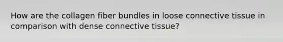 How are the collagen fiber bundles in loose <a href='https://www.questionai.com/knowledge/kYDr0DHyc8-connective-tissue' class='anchor-knowledge'>connective tissue</a> in comparison with dense connective tissue?