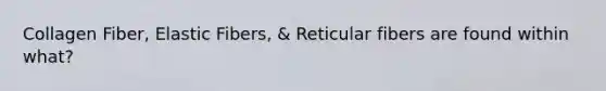Collagen Fiber, Elastic Fibers, & Reticular fibers are found within what?