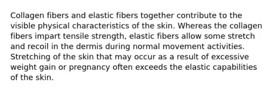 Collagen fibers and elastic fibers together contribute to the visible physical characteristics of the skin. Whereas the collagen fibers impart tensile strength, elastic fibers allow some stretch and recoil in <a href='https://www.questionai.com/knowledge/kEsXbG6AwS-the-dermis' class='anchor-knowledge'>the dermis</a> during normal movement activities. Stretching of the skin that may occur as a result of excessive weight gain or pregnancy often exceeds the elastic capabilities of the skin.