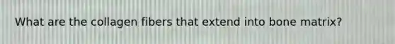 What are the collagen fibers that extend into bone matrix?
