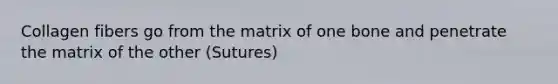 Collagen fibers go from the matrix of one bone and penetrate the matrix of the other (Sutures)