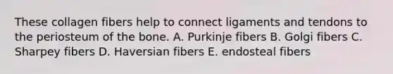 These collagen fibers help to connect ligaments and tendons to the periosteum of the bone. A. Purkinje fibers B. Golgi fibers C. Sharpey fibers D. Haversian fibers E. endosteal fibers