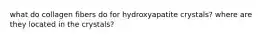 what do collagen fibers do for hydroxyapatite crystals? where are they located in the crystals?