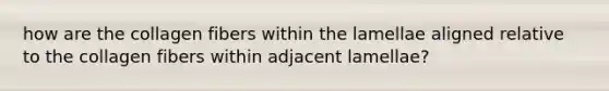 how are the collagen fibers within the lamellae aligned relative to the collagen fibers within adjacent lamellae?