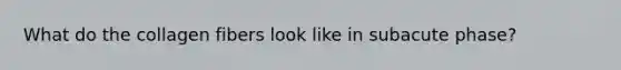 What do the collagen fibers look like in subacute phase?