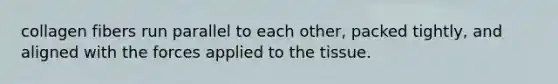 collagen fibers run parallel to each other, packed tightly, and aligned with the forces applied to the tissue.