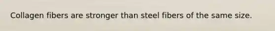 Collagen fibers are stronger than steel fibers of the same size.