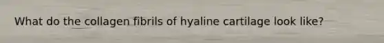 What do the collagen fibrils of hyaline cartilage look like?