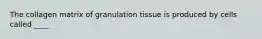 The collagen matrix of granulation tissue is produced by cells called ____