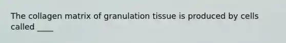 The collagen matrix of granulation tissue is produced by cells called ____