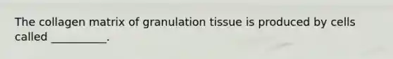 The collagen matrix of granulation tissue is produced by cells called __________.