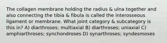 The collagen membrane holding the radius & ulna together and also connecting the tibia & fibula is called the interosseous ligament or membrane. What joint category & subcategory is this in? A) diarthroses; multiaxial B) diarthroses; uniaxial C) amphiarthroses; synchondroses D) synarthroses; syndesmoses