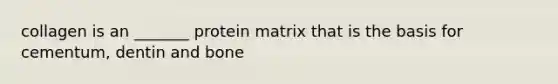 collagen is an _______ protein matrix that is the basis for cementum, dentin and bone
