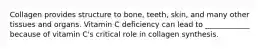 Collagen provides structure to bone, teeth, skin, and many other tissues and organs. Vitamin C deficiency can lead to ____________ because of vitamin C's critical role in collagen synthesis.
