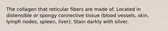 The collagen that reticular fibers are made of. Located in distensible or spongy <a href='https://www.questionai.com/knowledge/kYDr0DHyc8-connective-tissue' class='anchor-knowledge'>connective tissue</a> (<a href='https://www.questionai.com/knowledge/kZJ3mNKN7P-blood-vessels' class='anchor-knowledge'>blood vessels</a>, skin, lymph nodes, spleen, liver). Stain darkly with silver.