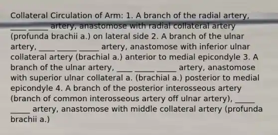 Collateral Circulation of Arm: 1. A branch of the radial artery, ____ _____ artery, anastomose with radial collateral artery (profunda brachii a.) on lateral side 2. A branch of the ulnar artery, ____ _____ _____ artery, anastomose with inferior ulnar collateral artery (brachial a.) anterior to medial epicondyle 3. A branch of the ulnar artery, ____ _____ _____ artery, anastomose with superior ulnar collateral a. (brachial a.) posterior to medial epicondyle 4. A branch of the posterior interosseous artery (branch of common interosseous artery off ulnar artery), _____ _____ artery, anastomose with middle collateral artery (profunda brachii a.)