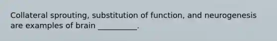 Collateral sprouting, substitution of function, and neurogenesis are examples of brain __________.